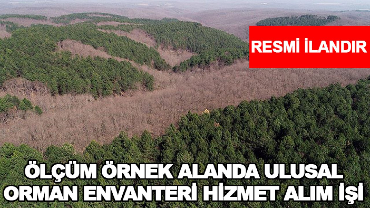 Ölçüm örnek alanda ulusal orman envanteri hizmet alım işi