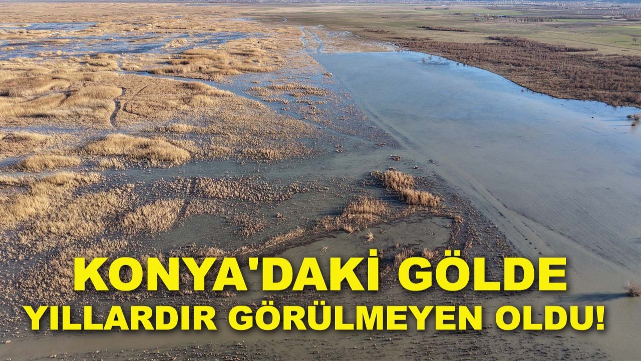 Konya'daki gölde yıllardır görülmeyen oldu!