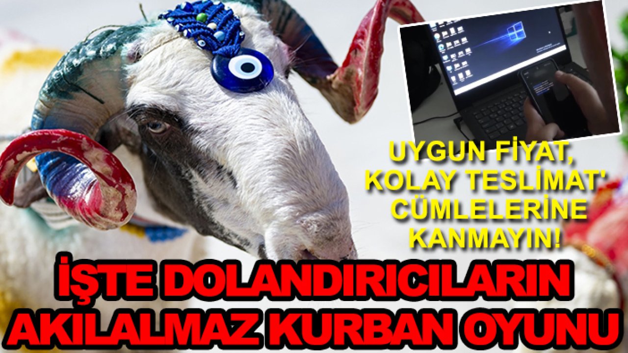 'Uygun fiyat, kolay teslimat' cümlelerine kanmayın! İşte dolandırıcıların akılalmaz kurban oyunu