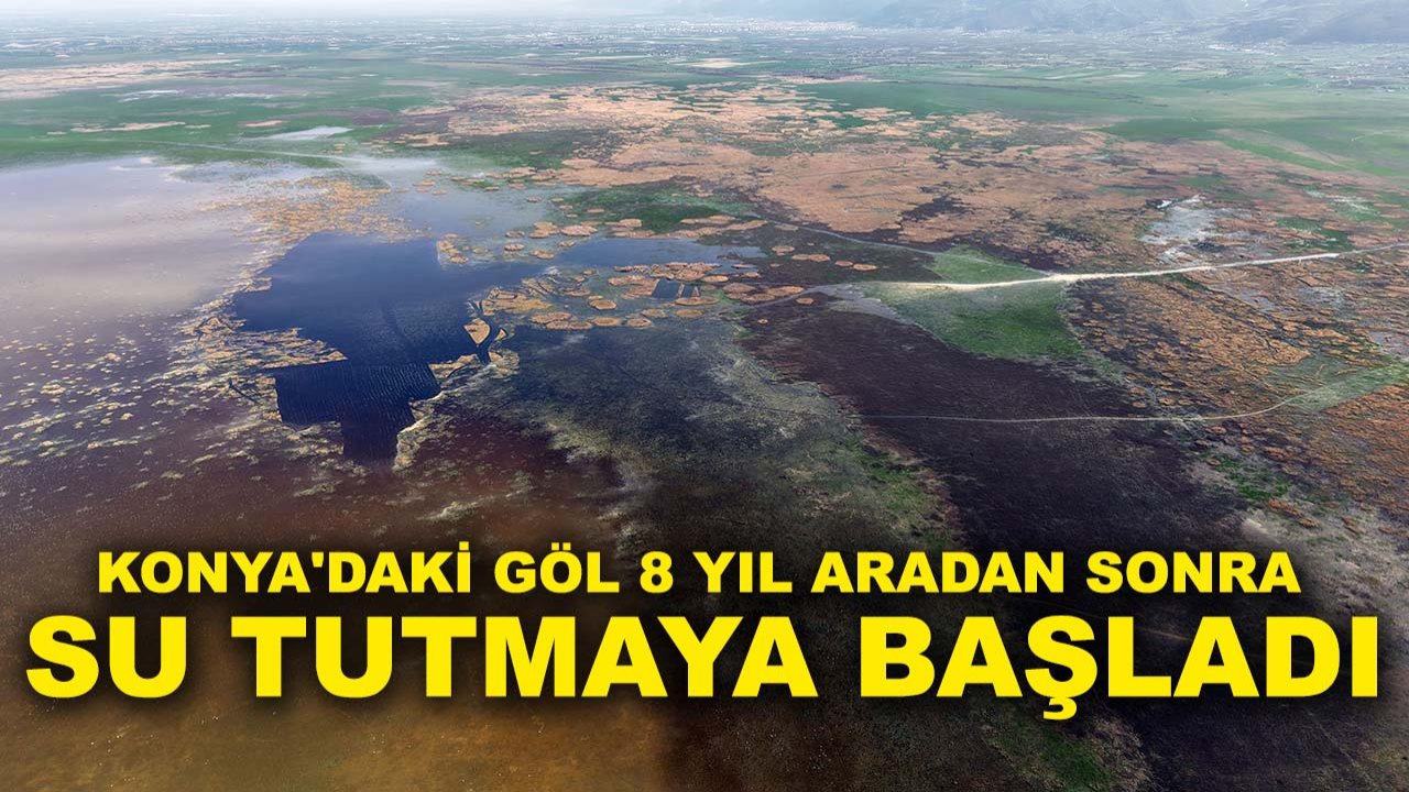 Konya'daki Göl 8 yıl aradan sonra su tutmaya başladı