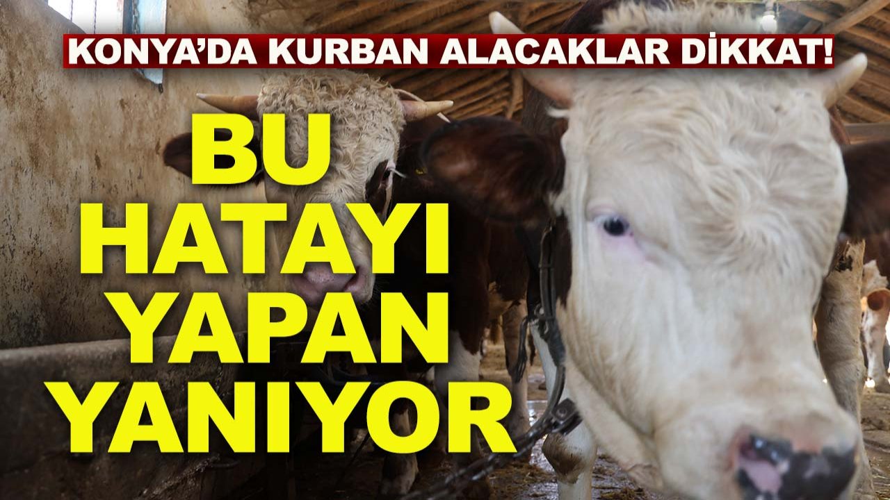 Konya’da kurban alacaklar dikkat! Bu hatayı yapan yanıyor