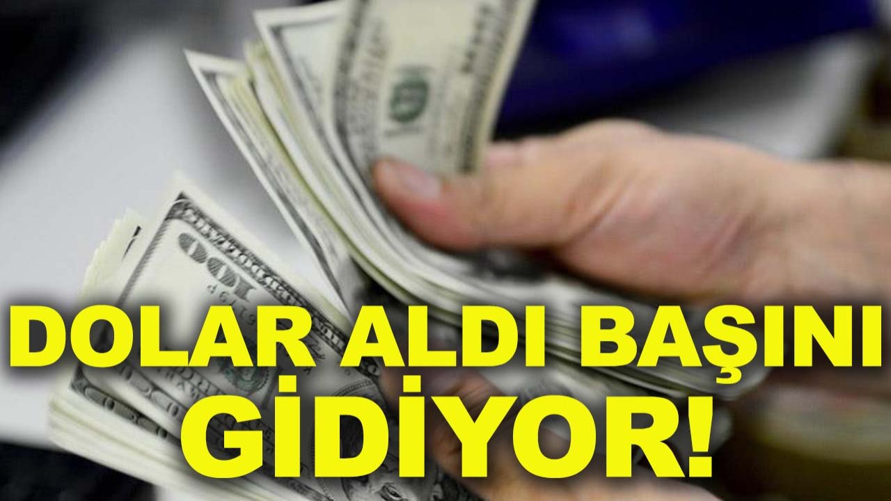Dolar aldı başını gidiyor!