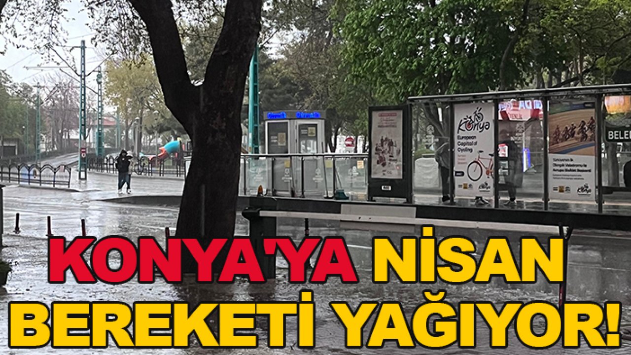 Konya'ya Nisan bereketi yağıyor!