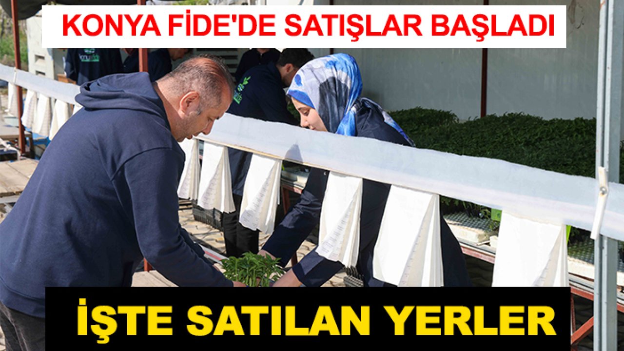 Fiyatı çok uygun! Konya Fide'de satışlar başladı