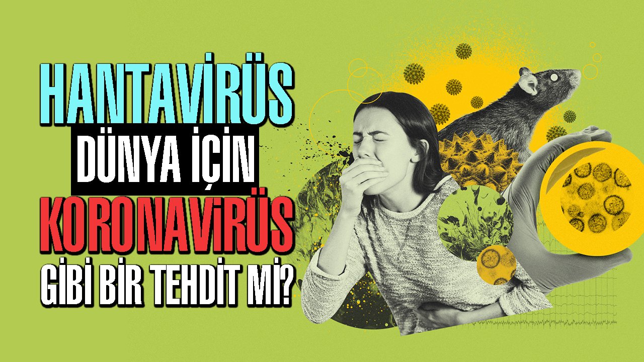Hantavirüs, dünya için koronavirüs gibi bir tehdit mi?