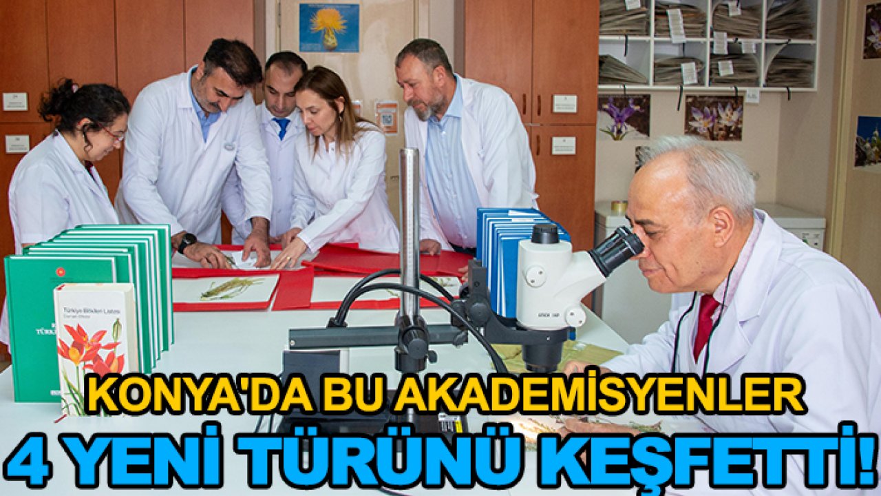 Konya'da bu akademisyenler 4 yeni türünü keşfetti!