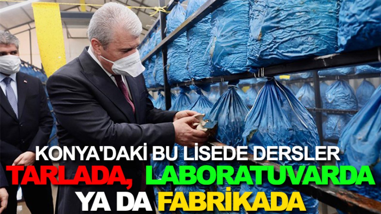 Konya'daki bu lisede dersler tarlada, laboratuvarda ya da fabrikada