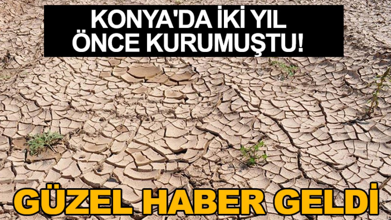 Konya'da iki yıl önce kurumuştu! Güzel haber geldi