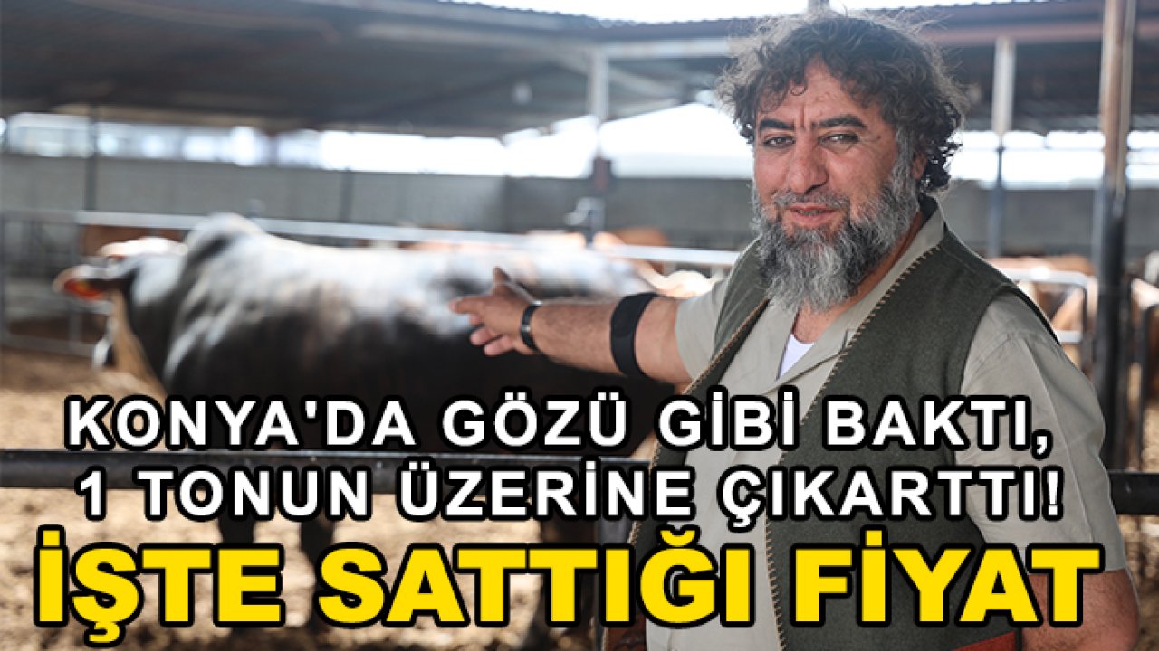 Konya'da gözü gibi baktı, 1 tonun üzerine çıkarttı! İşte sattığı fiyat
