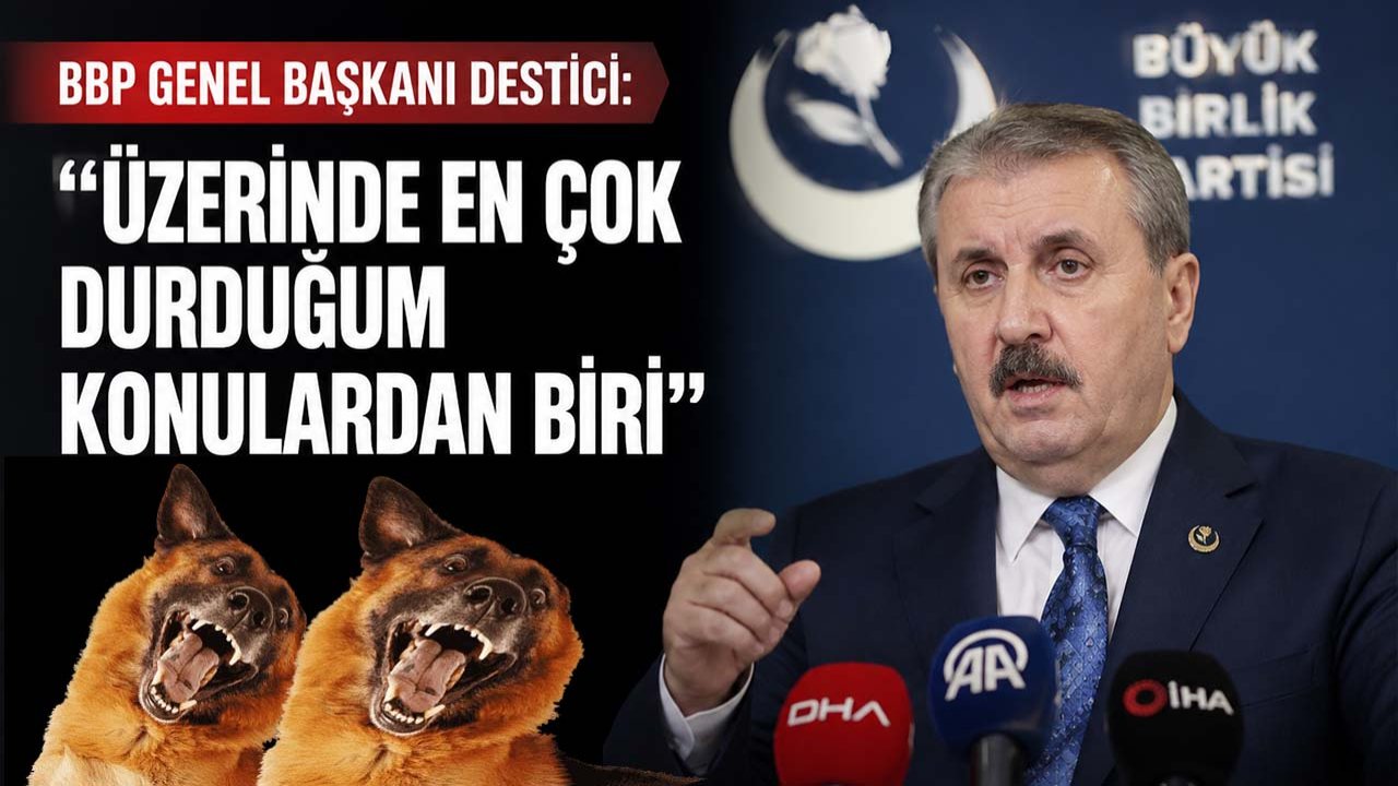 BBP Genel Başkanı Destici: Üzerinde en çok durduğum konulardan biri!