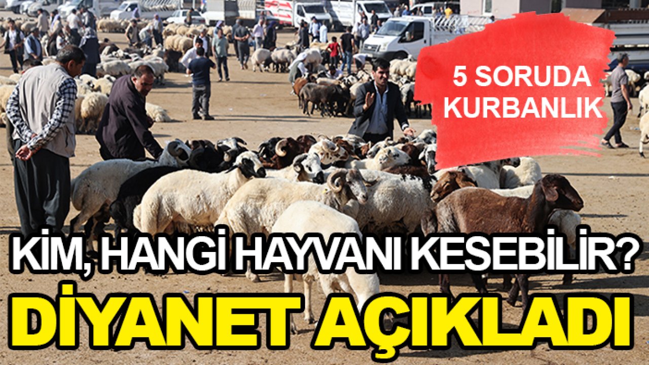 Kim, hangi hayvanı kesebilir? Diyanet açıkladı