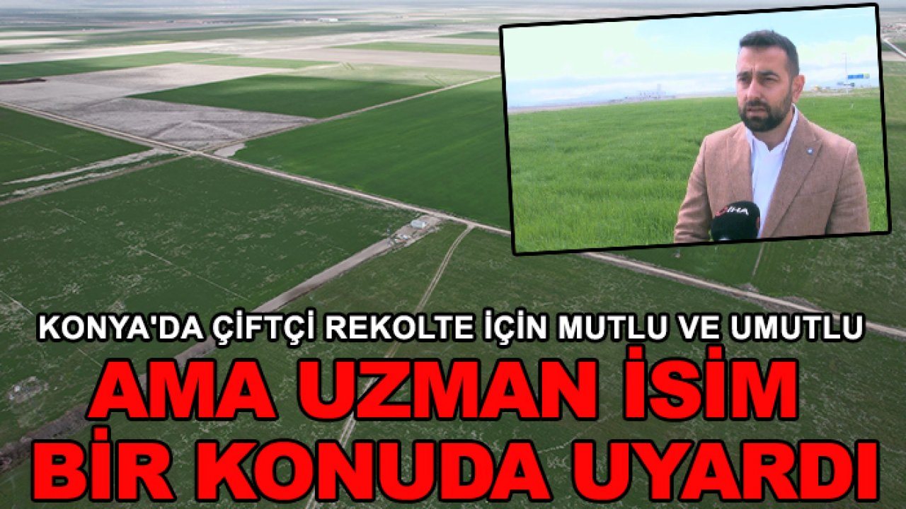 Konya'da çiftçi rekolte için mutlu ve umutlu ama uzman isim bir konuda uyardı