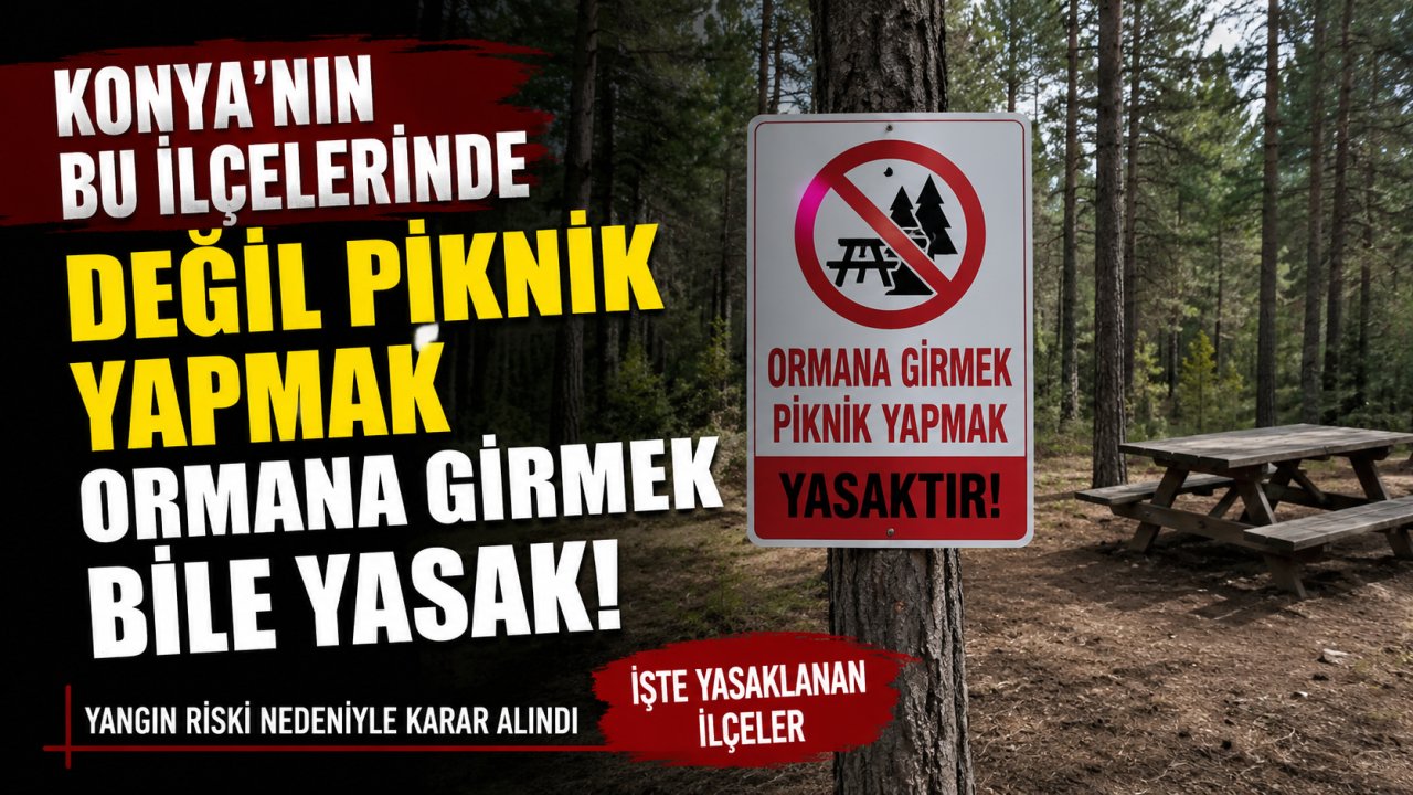 Konya’nın bu ilçelerinde değil piknik yapmak ormana girmek bile yasak!