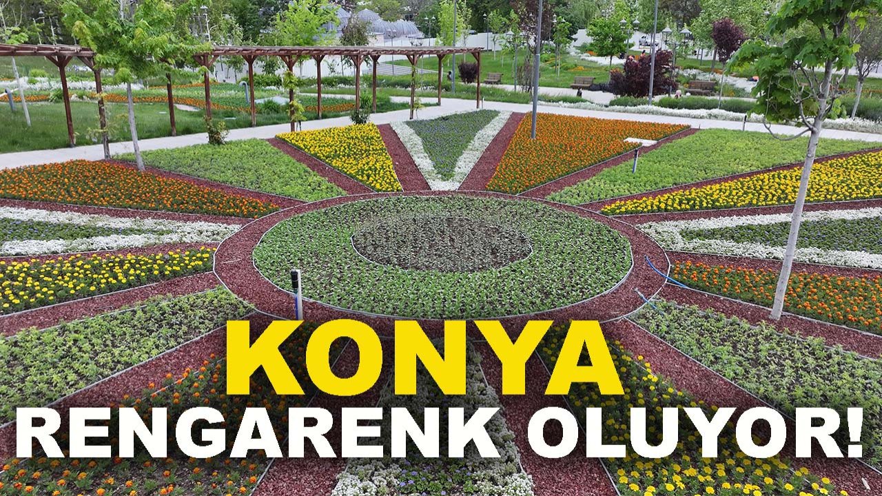 Konya rengarenk oluyor! 1 milyon 800 bin çiçek toprakla buluşuyor