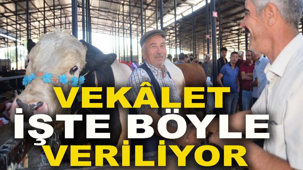 Kurban kestirmek isteyenler dikkat! Vekâlet işte böyle veriliyor
