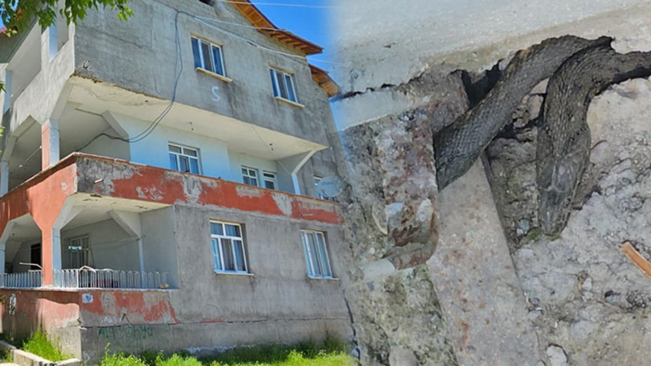 Bazıları 3 metre! Evlerinin dört bir yanını sardılar