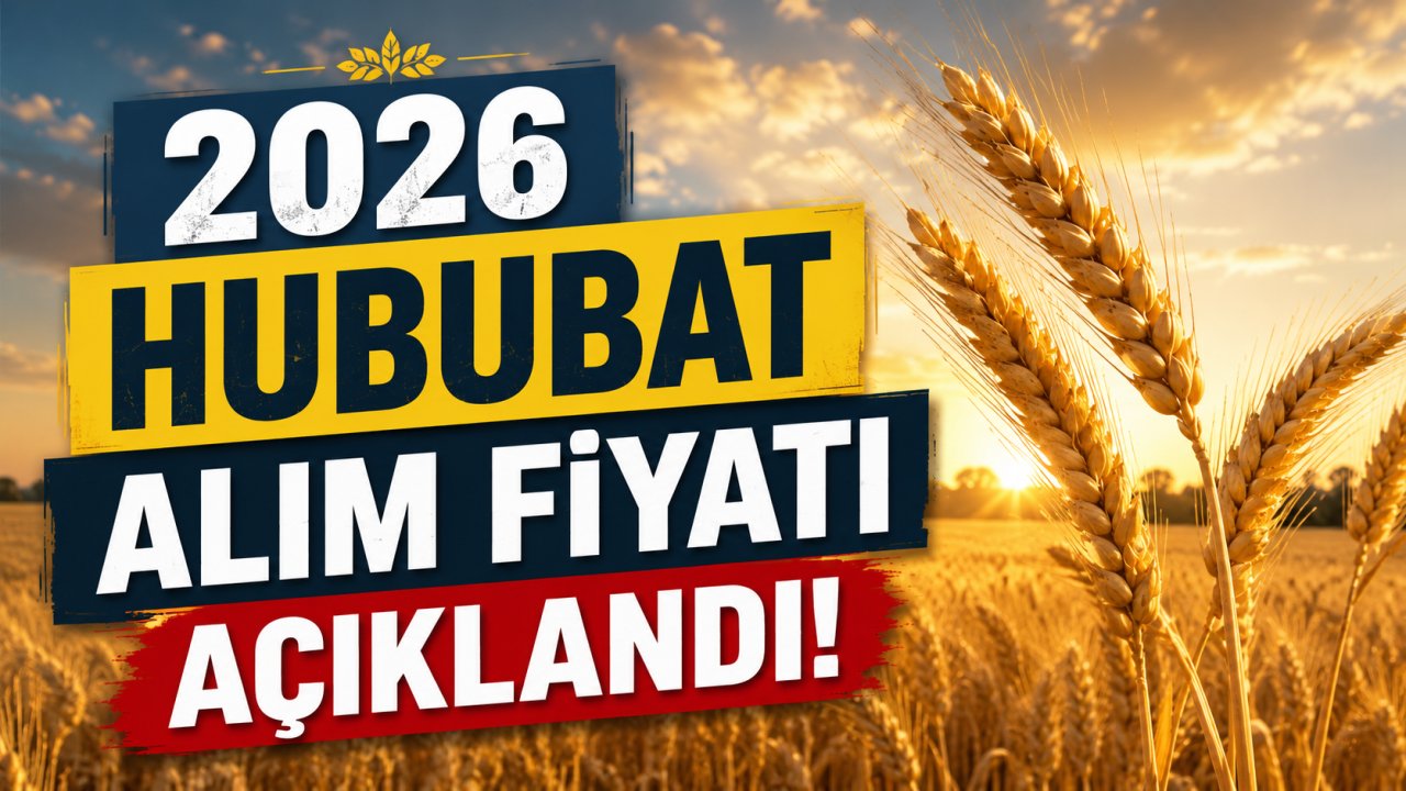Son Dakika! 2026 hububat alım fiyatı açıklandı