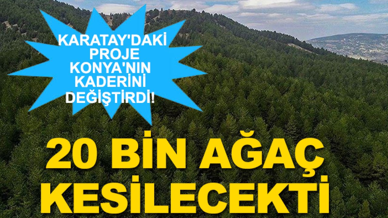 Karatay'daki proje Konya'nın kaderini değiştirdi! 20 bin ağaç kesilecekti
