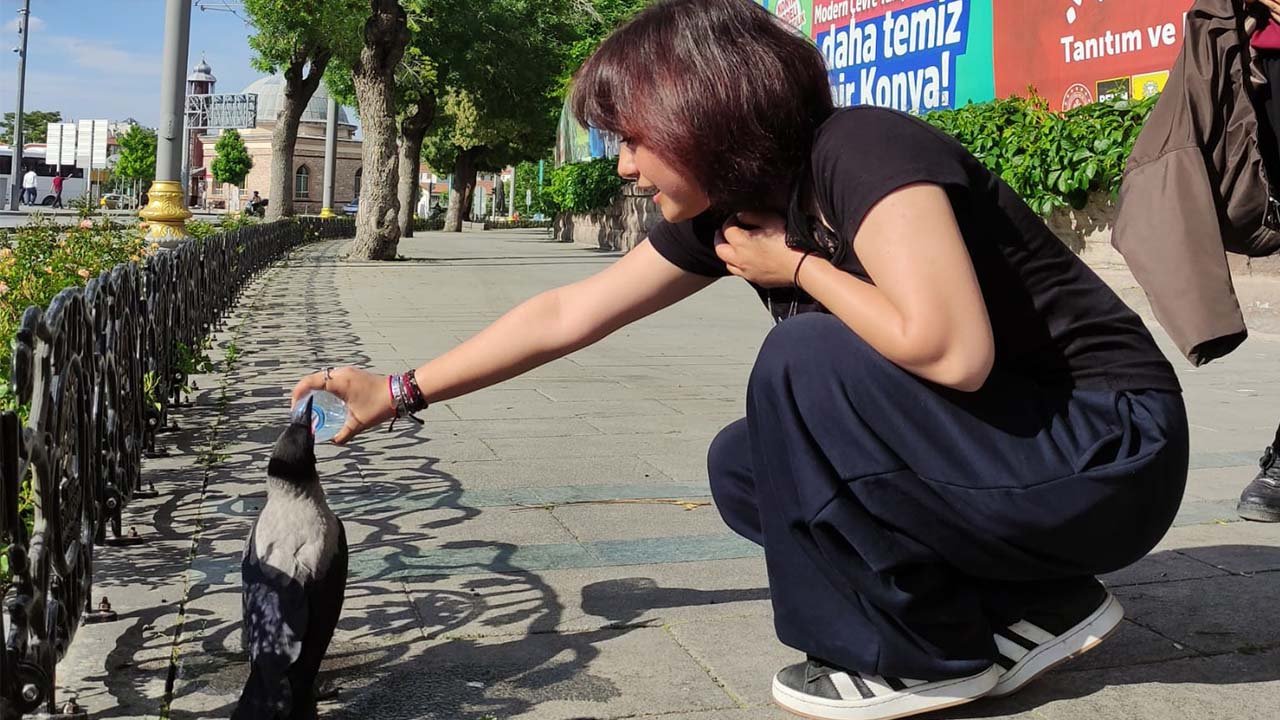 Konya’da yürekleri ısıtan görüntü: Susayan kargaya kendi suyunu verdi