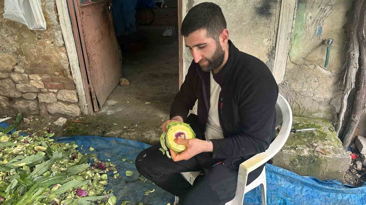 Enginar soyarak ayda 240 bin lira kazanıyor