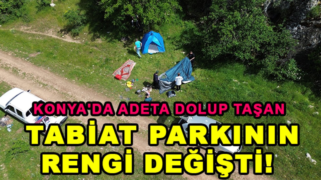 Konya'da adeta dolup taşan tabiat parkının rengi değişti!