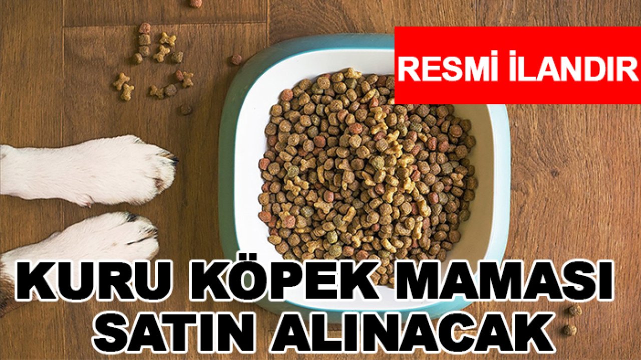 Kuru köpek maması satın alınacaktır