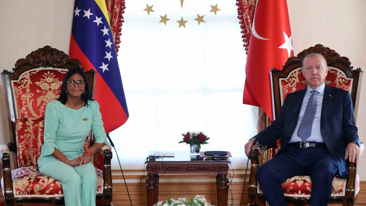 Cumhurbaşkanı Erdoğan, Venezuela Cumhurbaşkanı Vek