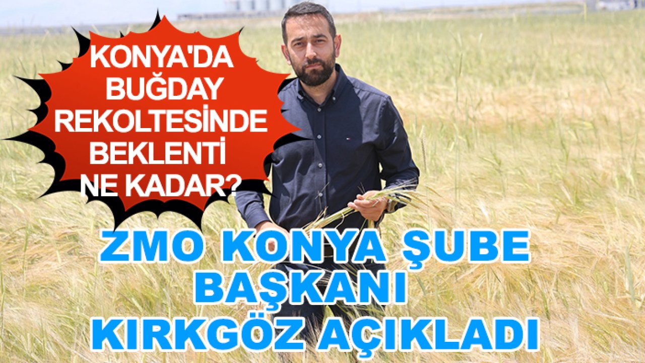 Konya'da buğday rekoltesinde beklenti ne kadar?  ZMO Konya Şube Başkanı Kırkgöz açıkladı