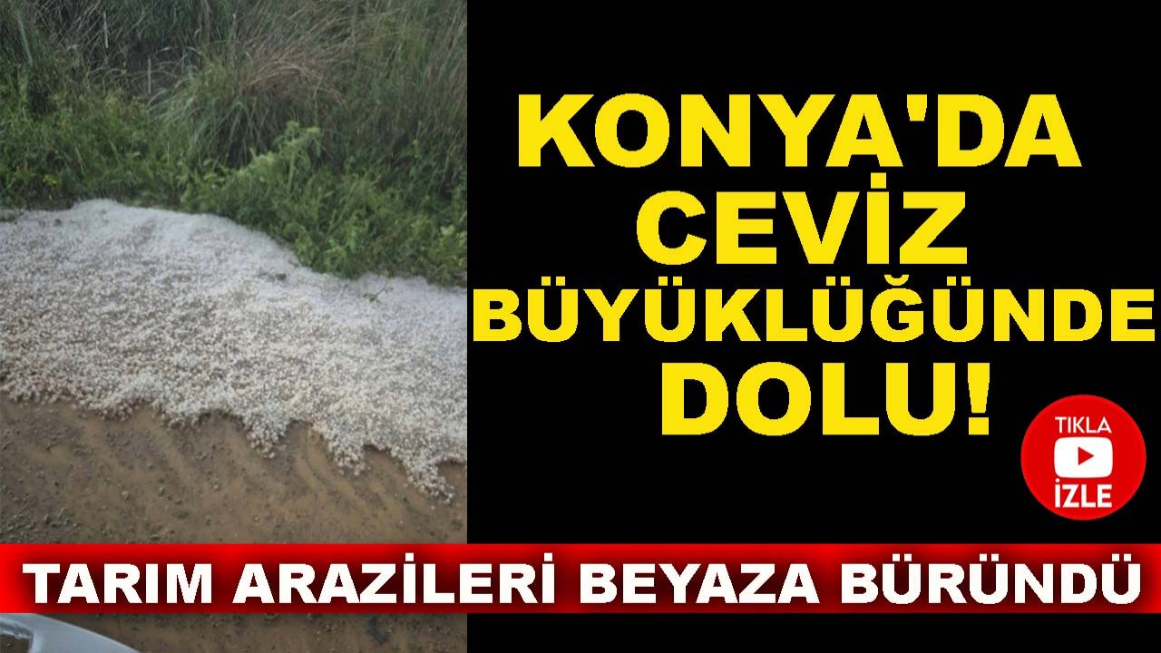 Konya'da ceviz büyüklüğünde dolu! Tarım arazileri 