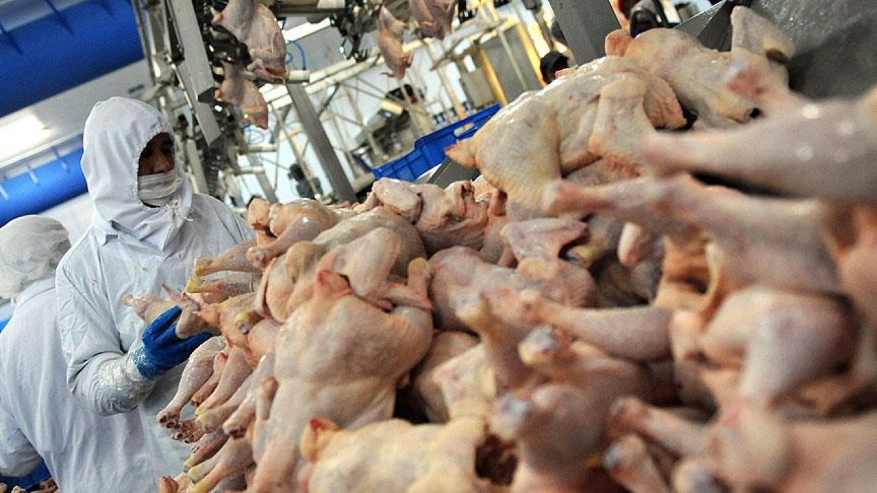 Beyaz et sektörüne büyük operasyon! Adalet Bakanı Gürlek'ten dikkat çeken açıklama!