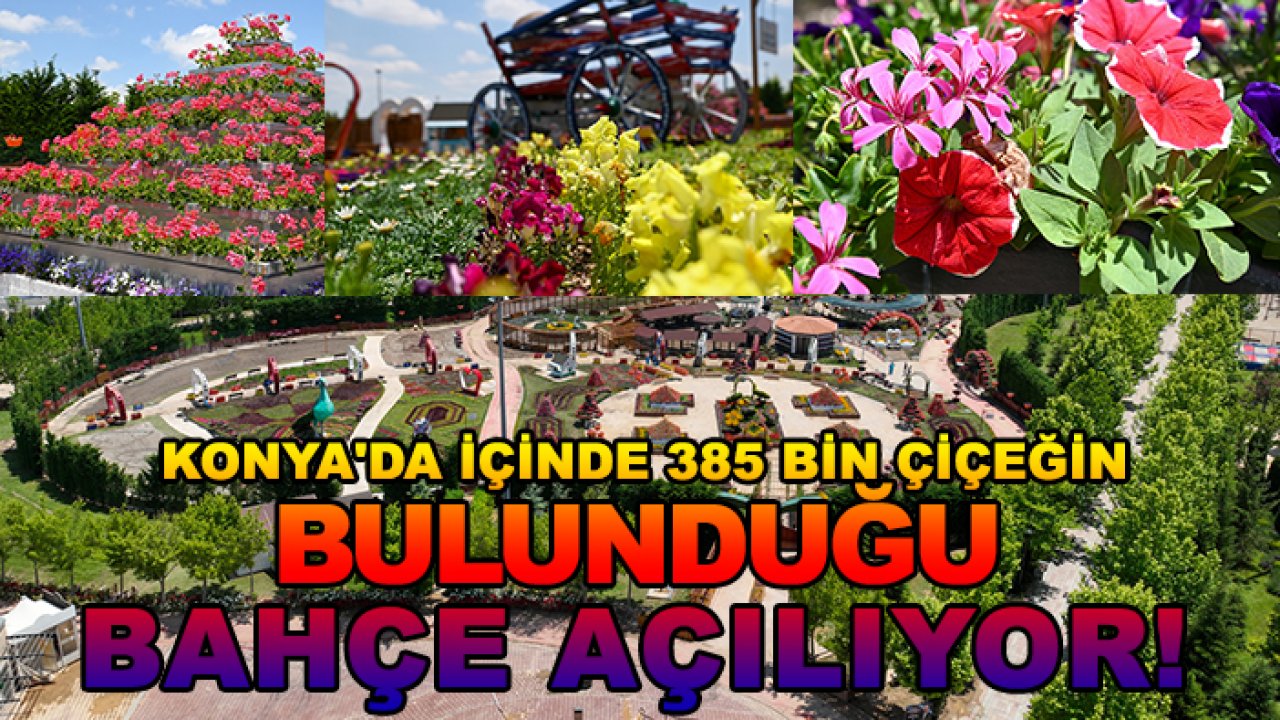 Konya'da içinde 385 bin çiçeğin bulunduğu bahçe açılıyor!
