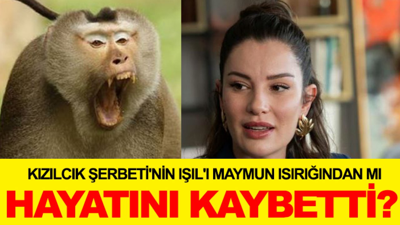 Kızılcık Şerbeti'nin Işıl'ı maymun ısırığından mı hayatını kaybetti?