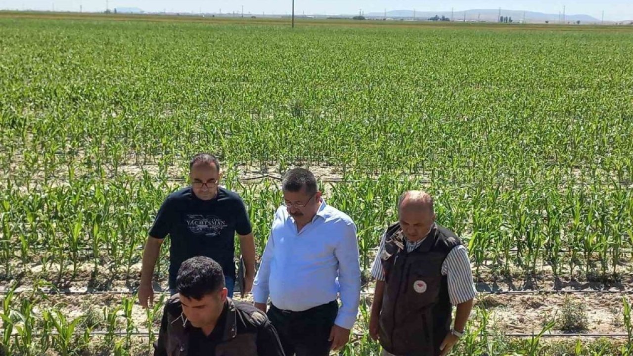 Karapınar’daki dolunun zararı belli oldu