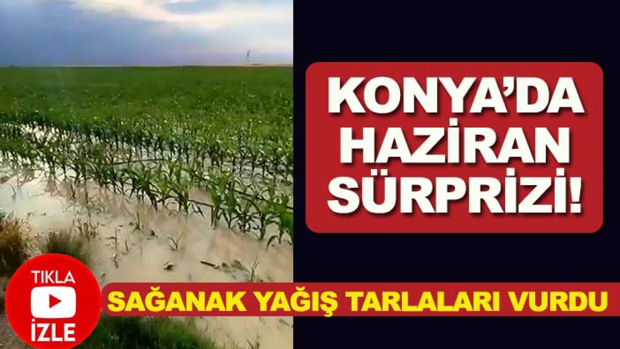 Konya’da Haziran sürprizi! Sağanak yağış tarlaları vurdu