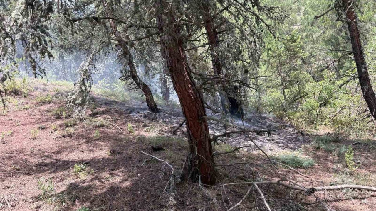 Bilecik’te ormanlık alana yıldırım düştü