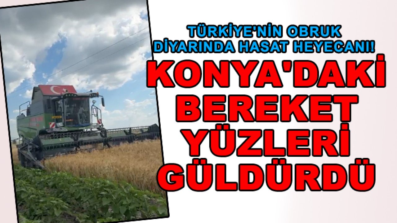 Türkiye'nin obruk diyarında hasat heyecanı! Konya'daki bereket yüzleri güldürdü