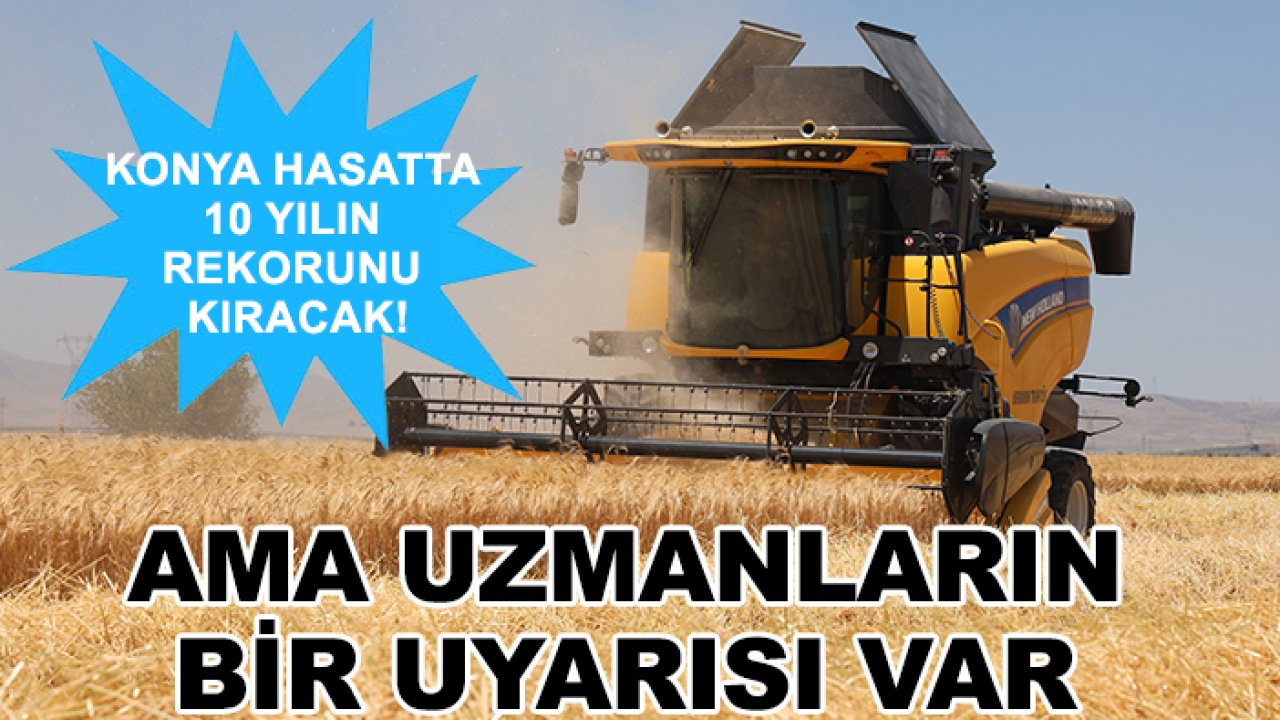Konya hasatta 10 yılın rekorunu kıracak! Ama uzmanların bir uyarısı var