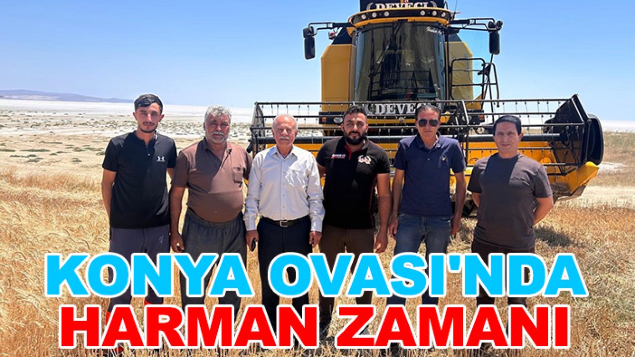 Konya Ovası'nda harman zamanı