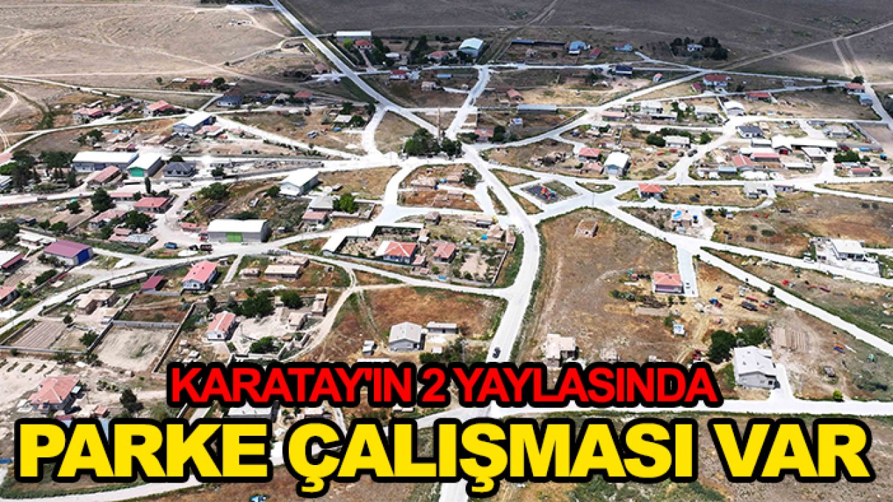Karatay'ın 2 yaylasında parke çalışması yapılıyor!