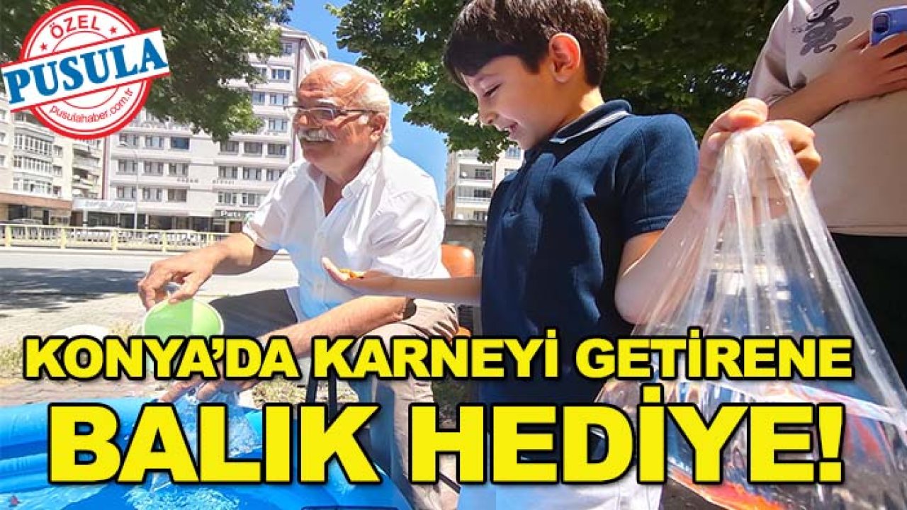 Konya’da karneyi getirene balık hediye!