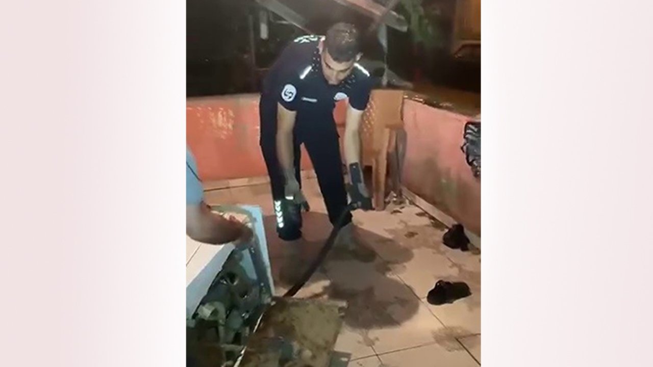 Bulaşık makinesinden 2 metrelik karayılan çıktı!