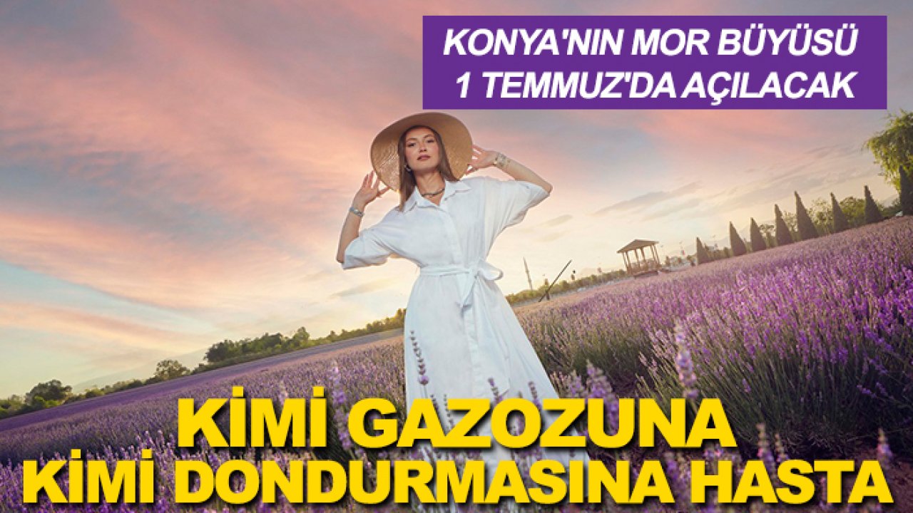 Konya'nın mor büyüsü 1 Temmuz'da açılacak: Kimi gazozuna kimi dondurmasına hasta