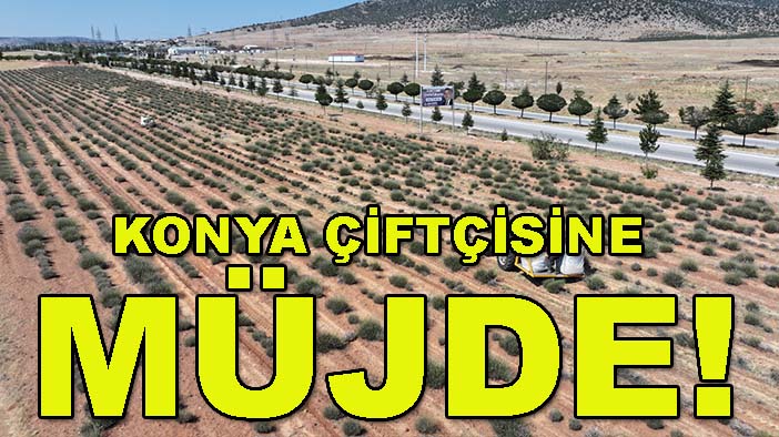 Konya çiftçisine müjde! 2027 destek başvuruları başlıyor