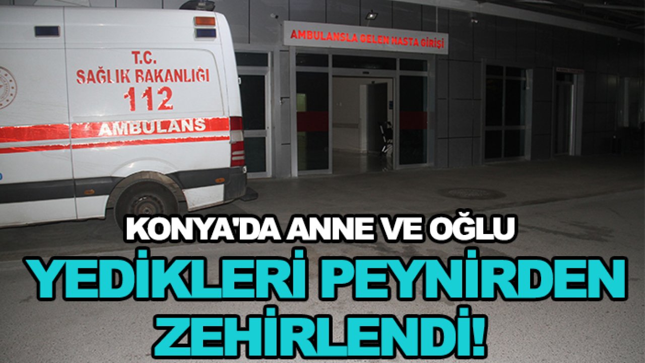 Konya'da anne ve oğlu yedikleri peynirden zehirlendi!