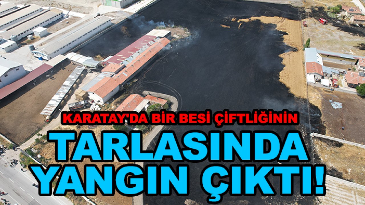 Karatay'da bir besi çiftliğinin  tarlasında yangın çıktı!