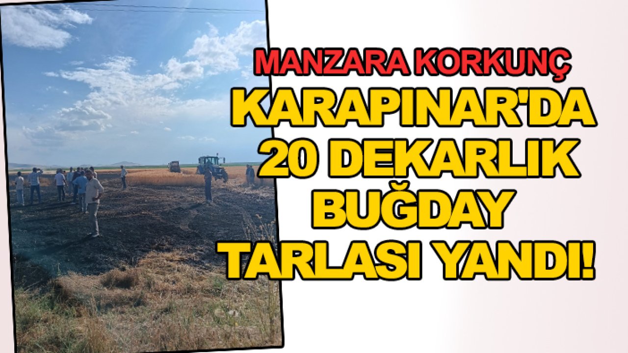 Manzara korkunç: Karapınar'da 20 dekarlık buğday tarlası yandı!