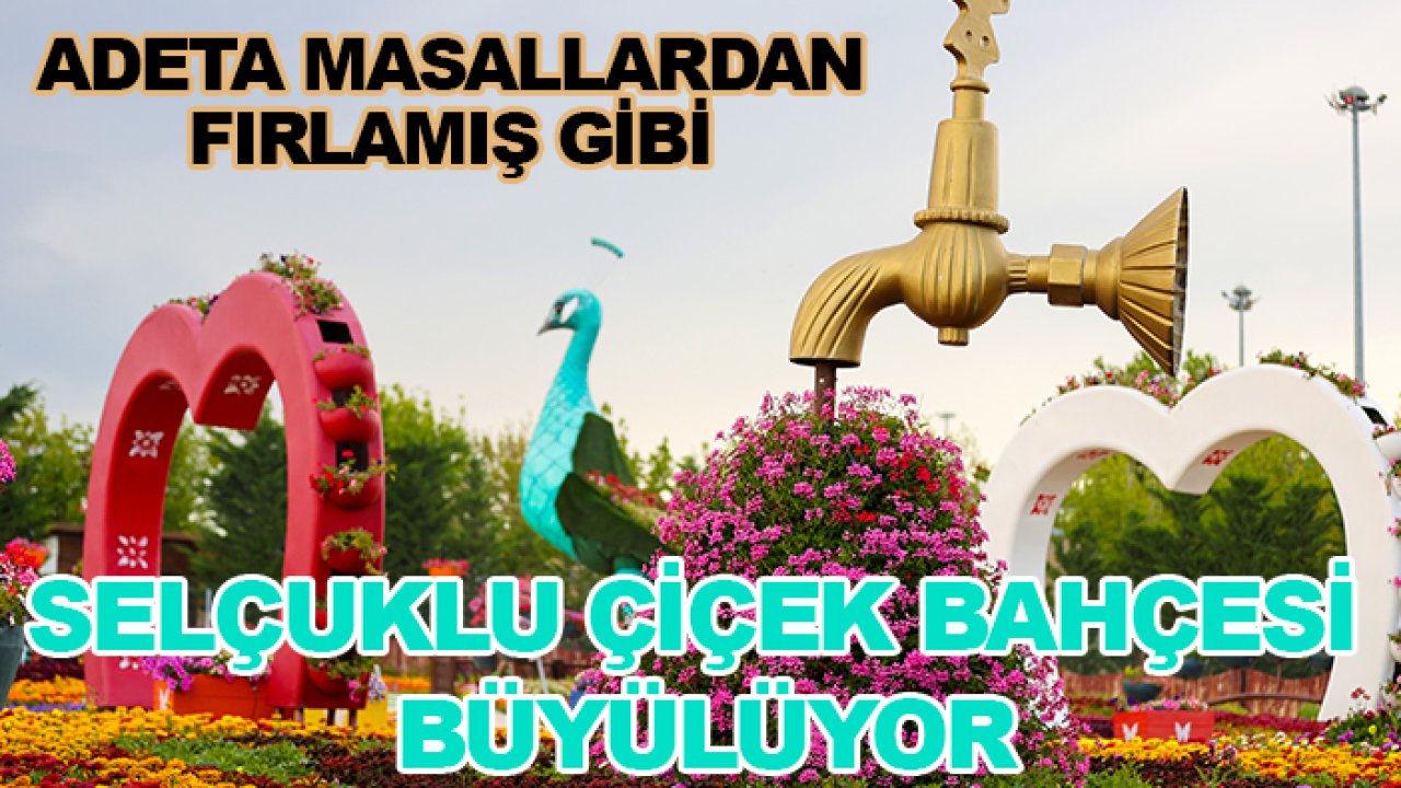 Adeta masallardan fırlamış gibi: Sekçuklu Çiçek Bahçesi büyülüyor