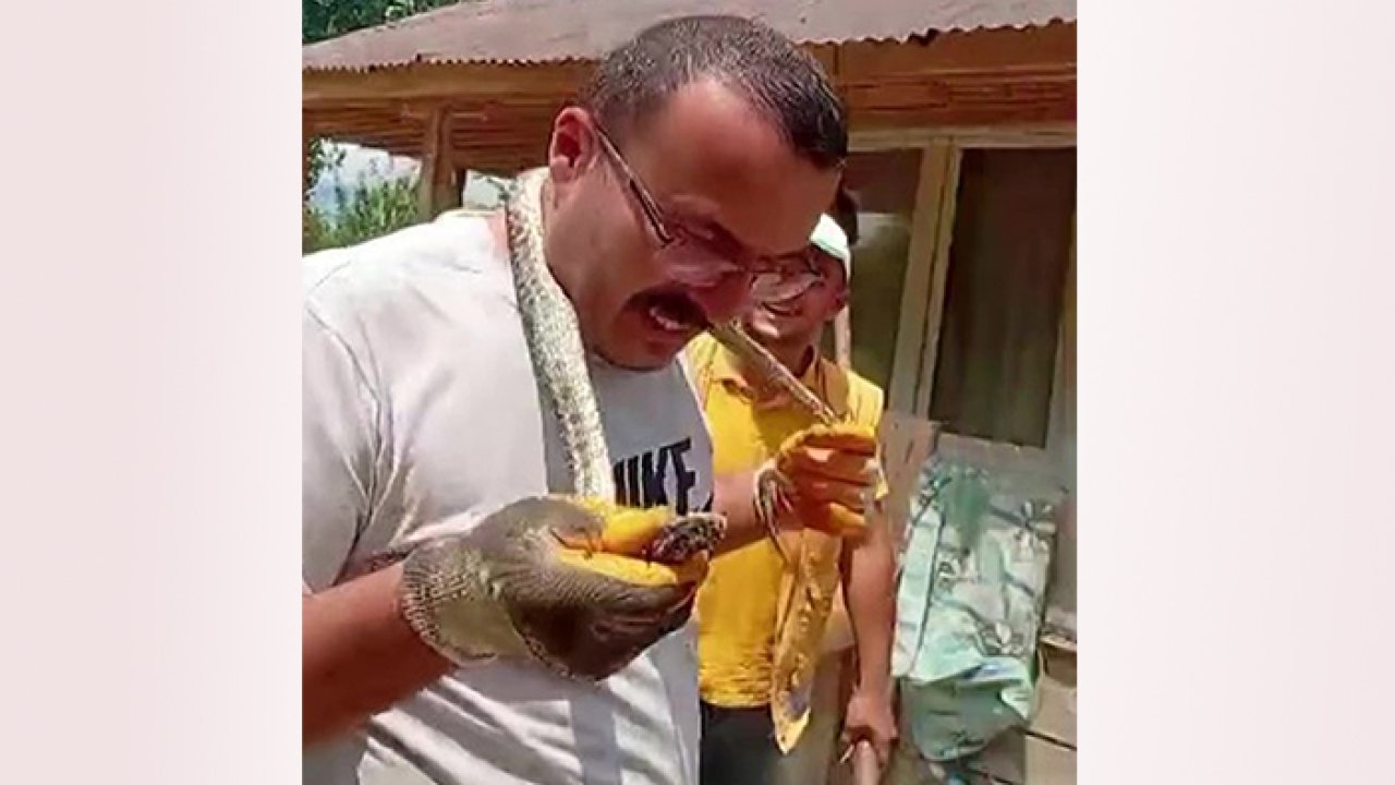 Eve giren yılanı boynuna sardı!
