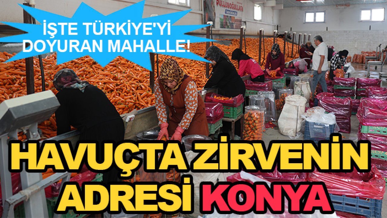 İşte Türkiye'yi doyuran mahalle! Havuçta zirvenin adresi Konya