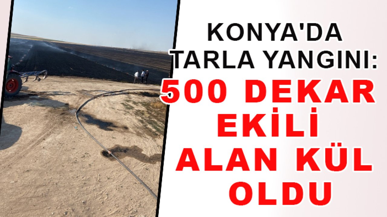 Konya'da tarla yangını: 500 dekar ekili alan kül oldu